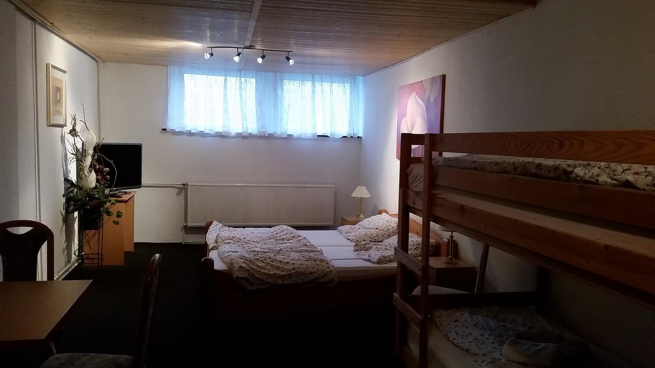 Pension Und Restaurant Die Burg Ehrenfriedersdorf Dış mekan fotoğraf