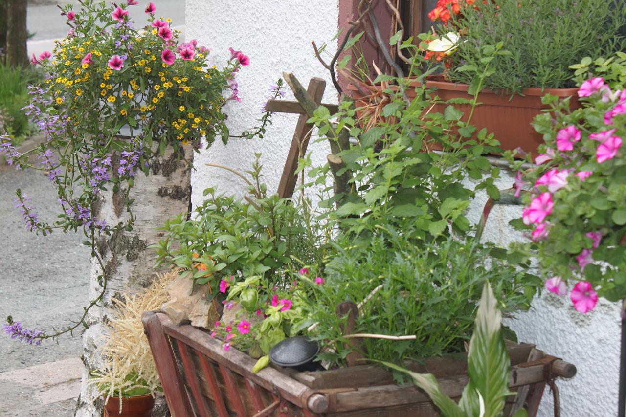 Pension Und Restaurant Die Burg Ehrenfriedersdorf Dış mekan fotoğraf